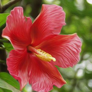 Meet your Posher, Rayza